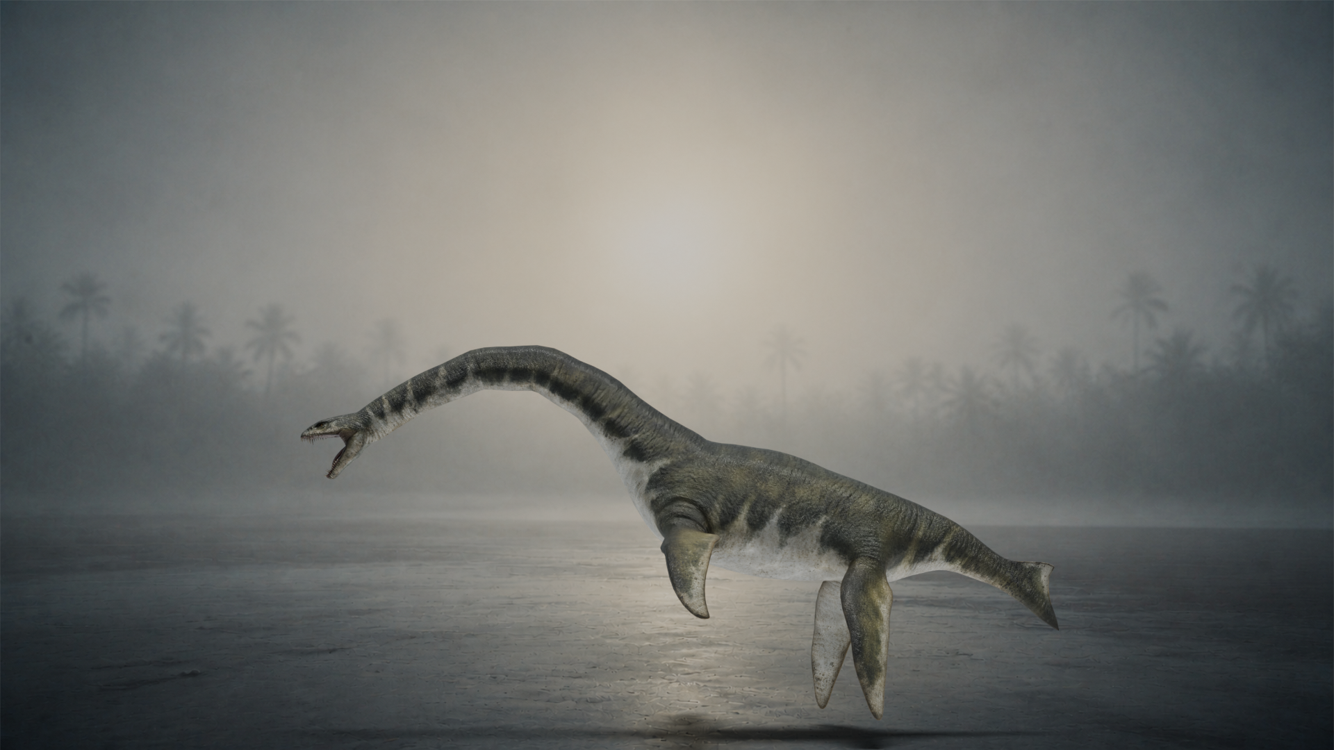 Zarafasaura